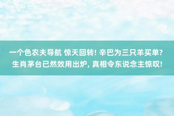 一个色农夫导航 惊天回转! 辛巴为三只羊买单? 生肖茅台已然效用出炉, 真相令东说念主惊叹!