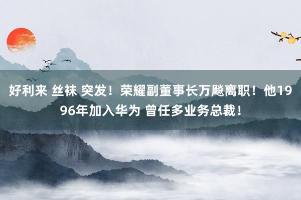 好利来 丝袜 突发！荣耀副董事长万飚离职！他1996年加入华为 曾任多业务总裁！