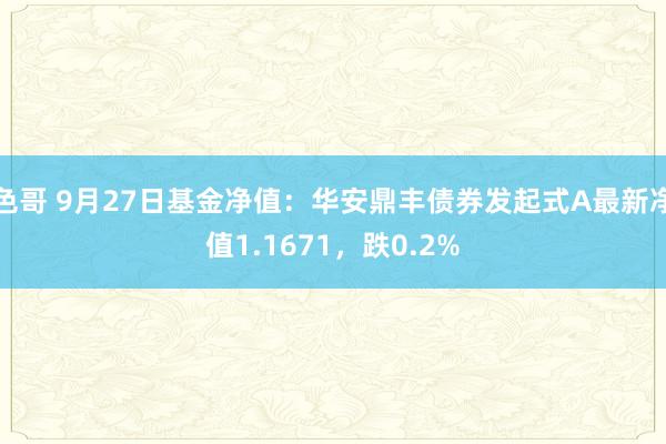 色哥 9月27日基金净值：华安鼎丰债券发起式A最新净值1.1671，跌0.2%