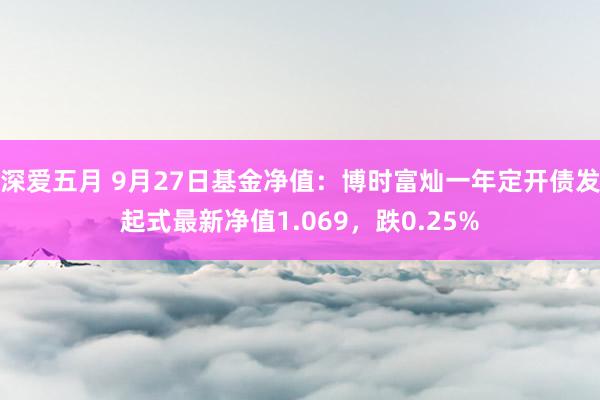 深爱五月 9月27日基金净值：博时富灿一年定开债发起式最新净值1.069，跌0.25%