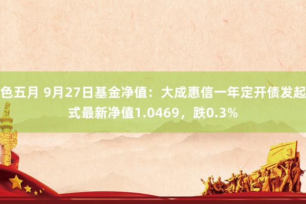 色五月 9月27日基金净值：大成惠信一年定开债发起式最新净值1.0469，跌0.3%