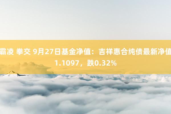 霸凌 拳交 9月27日基金净值：吉祥惠合纯债最新净值1.1097，跌0.32%