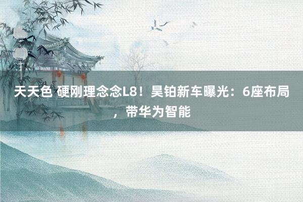 天天色 硬刚理念念L8！昊铂新车曝光：6座布局，带华为智能