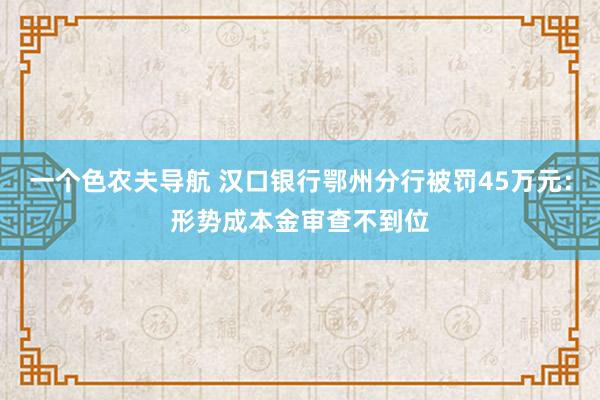 一个色农夫导航 汉口银行鄂州分行被罚45万元：形势成本金审查不到位