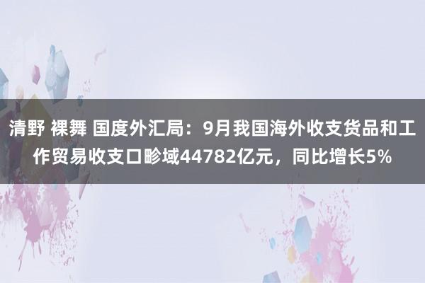 清野 裸舞 国度外汇局：9月我国海外收支货品和工作贸易收支口畛域44782亿元，同比增长5%