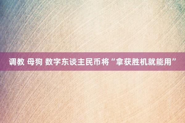 调教 母狗 数字东谈主民币将“拿获胜机就能用”