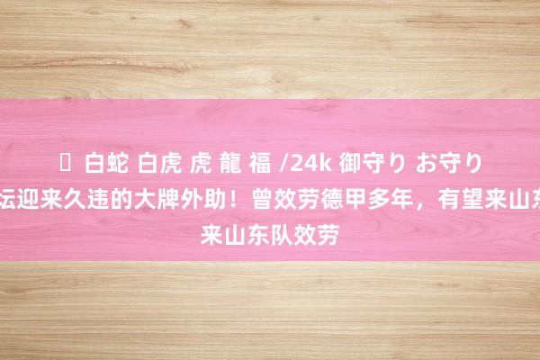✨白蛇 白虎 虎 龍 福 /24k 御守り お守り 中国足坛迎来久违的大牌外助！曾效劳德甲多年，有望来山东队效劳