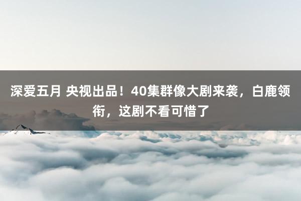 深爱五月 央视出品！40集群像大剧来袭，白鹿领衔，这剧不看可惜了