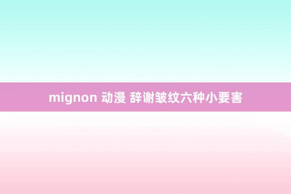 mignon 动漫 辞谢皱纹六种小要害