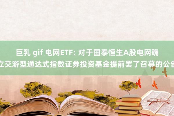 巨乳 gif 电网ETF: 对于国泰恒生A股电网确立交游型通达式指数证券投资基金提前罢了召募的公告