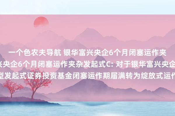 一个色农夫导航 银华富兴央企6个月闭塞运作夹杂发起式A,银华富兴央企6个月闭塞运作夹杂发起式C: 对于银华富兴央企6个月闭塞运作夹杂型发起式证券投资基金闭塞运作期届满转为绽放式运作、变更基金称呼并调动