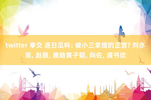 twitter 拳交 逐日瓜料: 被小三拿捏的正宫? 刘亦菲, 赵薇, 鹿晗黄子韬, 向佐, 虞书欣