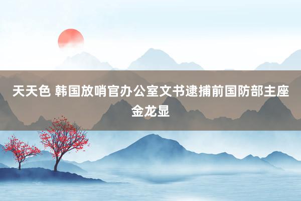 天天色 韩国放哨官办公室文书逮捕前国防部主座金龙显