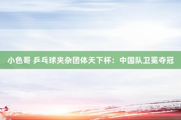 小色哥 乒乓球夹杂团体天下杯：中国队卫冕夺冠