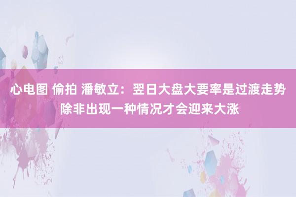 心电图 偷拍 潘敏立：翌日大盘大要率是过渡走势 除非出现一种情况才会迎来大涨