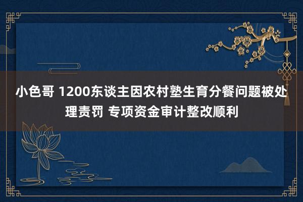 小色哥 1200东谈主因农村塾生育分餐问题被处理责罚 专项资金审计整改顺利