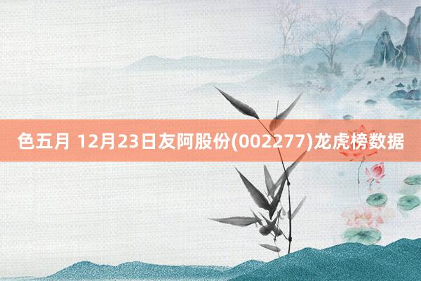 色五月 12月23日友阿股份(002277)龙虎榜数据