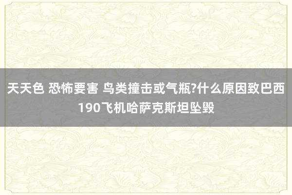 天天色 恐怖要害 鸟类撞击或气瓶?什么原因致巴西190飞机哈萨克斯坦坠毁