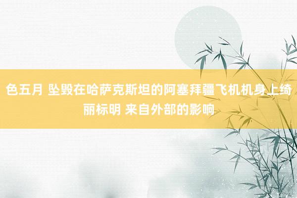 色五月 坠毁在哈萨克斯坦的阿塞拜疆飞机机身上绮丽标明 来自外部的影响