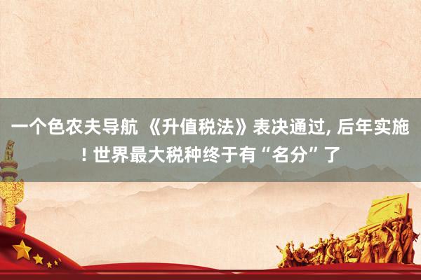 一个色农夫导航 《升值税法》表决通过, 后年实施! 世界最大税种终于有“名分”了