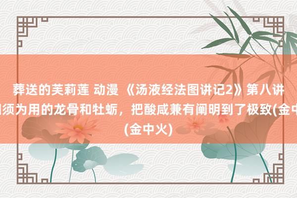 葬送的芙莉莲 动漫 《汤液经法图讲记2》第八讲：相须为用的龙骨和牡蛎，把酸咸兼有阐明到了极致(金中火)