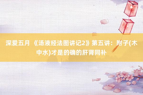 深爱五月 《汤液经法图讲记2》第五讲：附子(木中水)才是的确的肝肾同补
