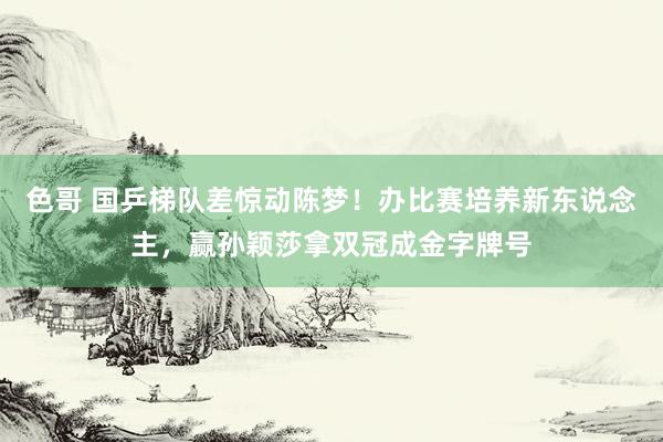 色哥 国乒梯队差惊动陈梦！办比赛培养新东说念主，赢孙颖莎拿双冠成金字牌号