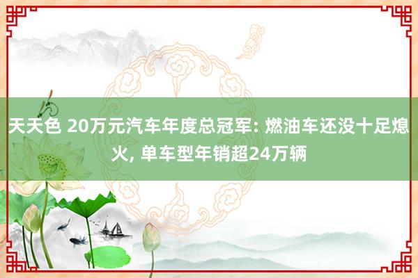 天天色 20万元汽车年度总冠军: 燃油车还没十足熄火, 单车型年销超24万辆