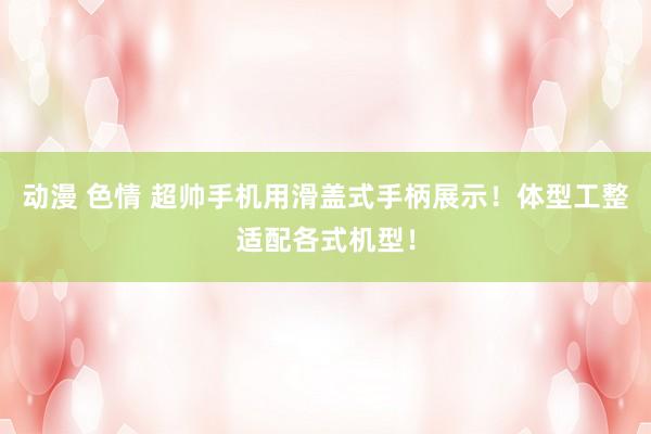 动漫 色情 超帅手机用滑盖式手柄展示！体型工整适配各式机型！