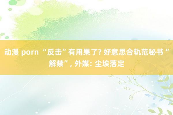 动漫 porn “反击”有用果了? 好意思合轨范秘书“解禁”, 外媒: 尘埃落定