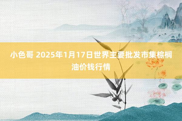 小色哥 2025年1月17日世界主要批发市集棕榈油价钱行情