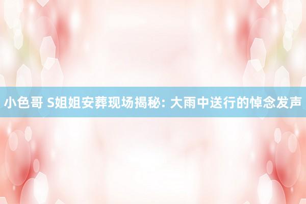 小色哥 S姐姐安葬现场揭秘: 大雨中送行的悼念发声