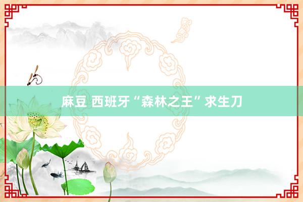 麻豆 西班牙“森林之王”求生刀