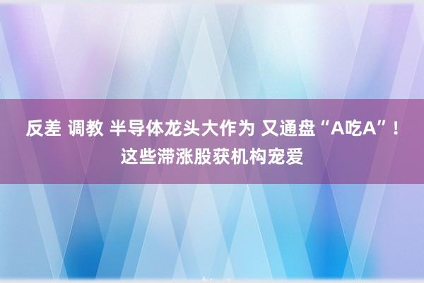 反差 调教 半导体龙头大作为 又通盘“A吃A”！这些滞涨股获机构宠爱