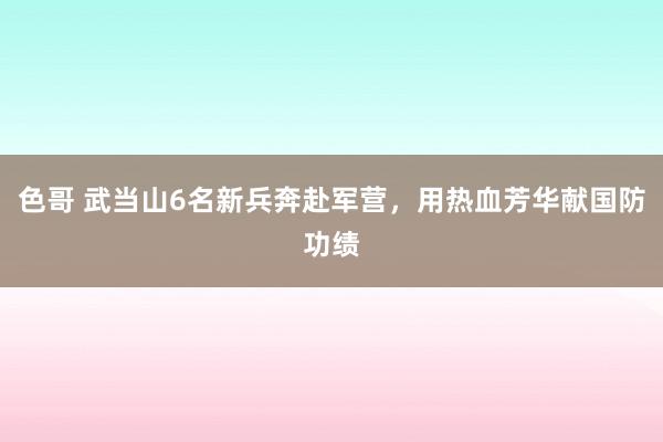 色哥 武当山6名新兵奔赴军营，用热血芳华献国防功绩