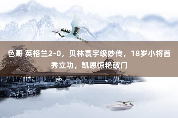 色哥 英格兰2-0，贝林寰宇级妙传，18岁小将首秀立功，凯恩惊艳破门