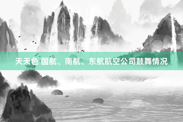 天天色 国航、南航、东航航空公司鼓舞情况