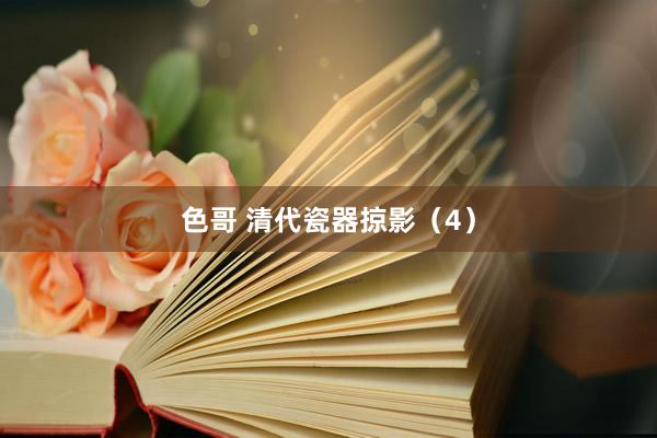 色哥 清代瓷器掠影（4）