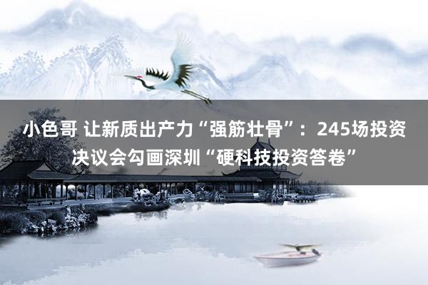 小色哥 让新质出产力“强筋壮骨”：245场投资决议会勾画深圳“硬科技投资答卷”