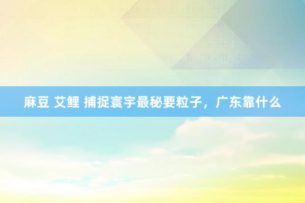 麻豆 艾鲤 捕捉寰宇最秘要粒子，广东靠什么