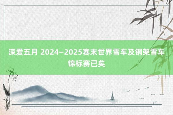 深爱五月 2024—2025赛末世界雪车及钢架雪车锦标赛已矣