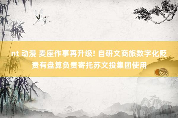 nt 动漫 麦座作事再升级! 自研文商旅数字化贬责有盘算负责寄托苏文投集团使用