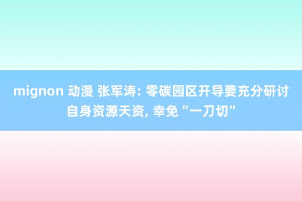 mignon 动漫 张军涛: 零碳园区开导要充分研讨自身资源天资, 幸免“一刀切”