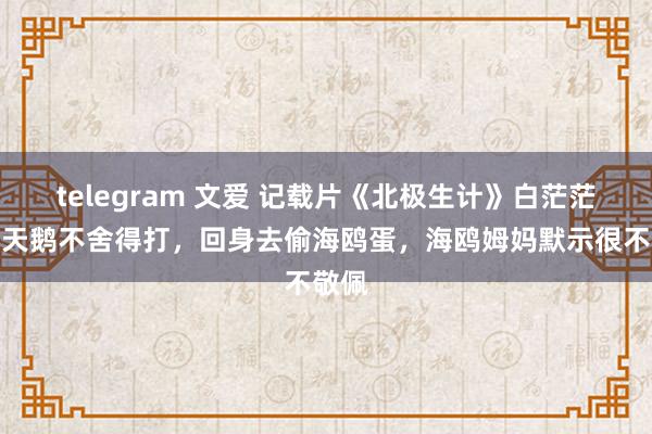 telegram 文爱 记载片《北极生计》白茫茫的大天鹅不舍得打，回身去偷海鸥蛋，海鸥姆妈默示很不敬佩