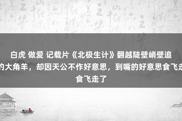 白虎 做爱 记载片《北极生计》翻越陡壁峭壁追寻的大角羊，却因天公不作好意思，到嘴的好意思食飞走了