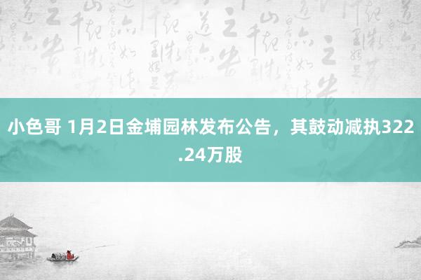 小色哥 1月2日金埔园林发布公告，其鼓动减执322.24万股