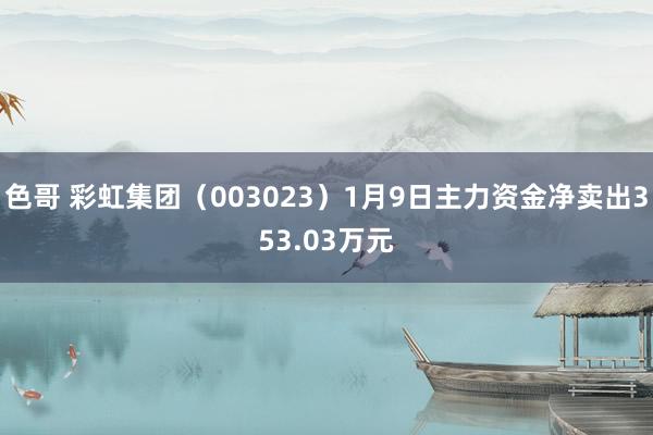 色哥 彩虹集团（003023）1月9日主力资金净卖出353.03万元