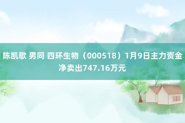 陈凯歌 男同 四环生物（000518）1月9日主力资金净卖出747.16万元