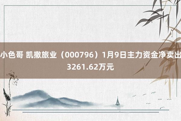 小色哥 凯撒旅业（000796）1月9日主力资金净卖出3261.62万元