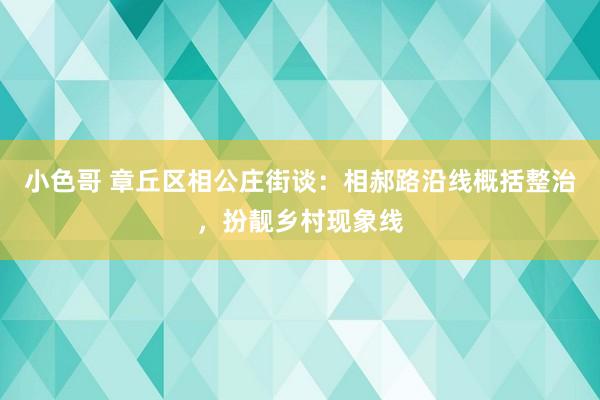 小色哥 章丘区相公庄街谈：相郝路沿线概括整治，扮靓乡村现象线